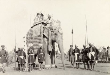 The State Elephant of Patiala. The caparisoned state elephant of Patiala carries an ornate howdah
