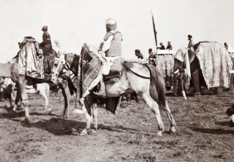 Drum horse at Coronation Durbar, 1903. An Indian soldier rides a drum horse during a procession at