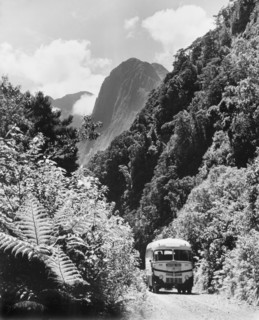 A bus at Milford Sound . A bus travels along a dirt road flanked by dense vegetation at Milford