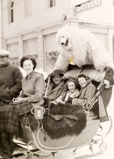 Sleigh ride with a polar bear, Switzerland. A group of British tourists pose with a performer in
