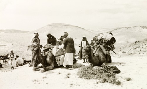 Loading up camels in Al-Masfara. A party of travellers loads up its camels during a journey through