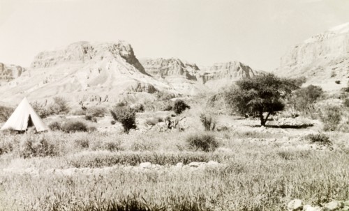 A bell tent at Ein Gedi. A lone bell tent is pitched at Ein Gedi (Engedi), a freshwater oasis