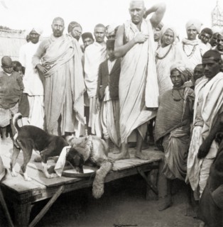 Live lion at the Ardh Kumbh Mela. A crowd of Hindu pilgrims at the Ardh Kumbh Mela gather around a