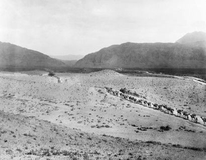 Camel convoy at the entrance to the Khyber Pass. A camel convoy winds its way through the desert