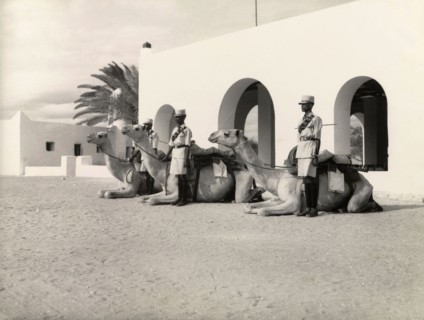 Raqub camel section of the Kenya Police. Three uniformed officers of the mounted Raqub camel