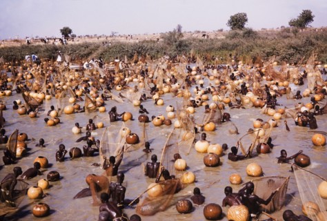 The Argungu fishing festival. Nigerian fishermen, equipped with scoop-shaped fishing nets and