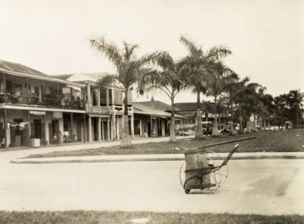 A residential street in Colon. A patch of grass flanked by palm trees leads up to a residential