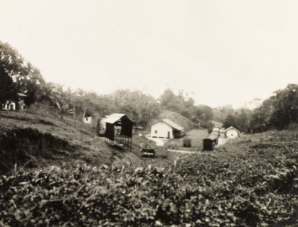 Rail terminus, Siparia. The railway terminus in Siparia, built in 1913 by the Cipero Tramroad