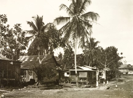 Stilted houses in Limon. Wooden houses on stilts stand beside the road in a residential area of