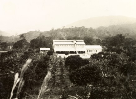 A coffee processing factory. A processing factory in the middle of a coffee plantation. Probably