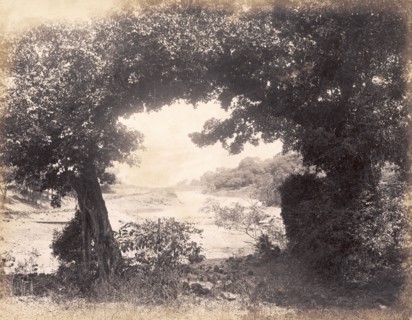 Charlotte Lake, Matheran. View through a natural arch of trees looking towards Charlotte Lake, the