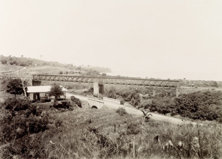 Railway bridge at Pointe-a-Pierre, Trinidad. A bridge carries a Trinidad Government Railways