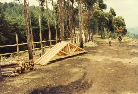 Roof trusses for sale at Mafuga sawmill. Roof trusses made from cypress thinnings are stacked up