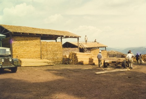 Produce from Mafuga sawmill. Planks and lengths of processed timber are stacked high in open sheds