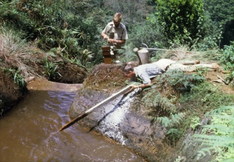 Liming and testing the water. Conservator Alec Watt lies flat on the banks of a forest nursery