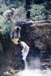 Adding lime to neutralise the water. District Forest Officer James Lang Brown (top) watches as two