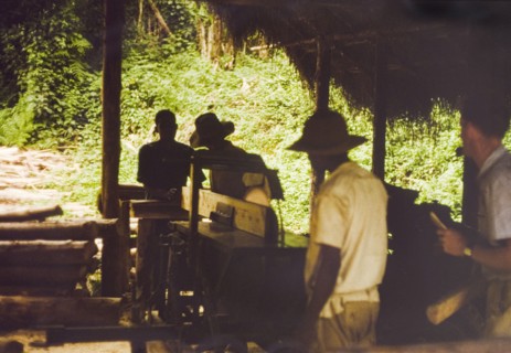Cutting planks on a McConnel sawbench. Forest Department staff use a McConnel sawbench to cut