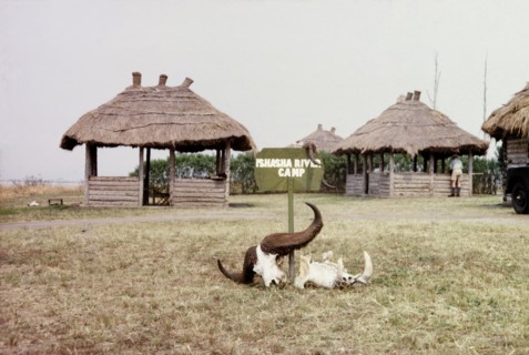 Entrance to Ishasha River Camp. A sign decorated with buffalo and hippo skulls marks the entrance