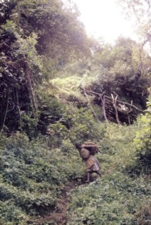 Lower slopes of Mount Elgon. View of a steep rise on the lower slopes of Mount Elgon, taken during