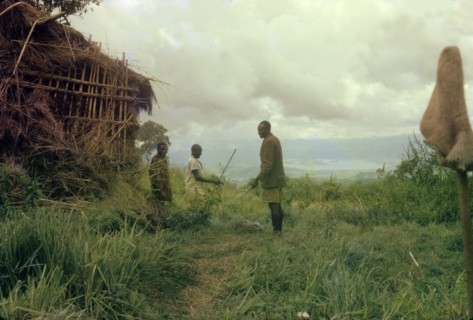 A deserted poacher's hut. Three Ugandan Forest Guards investigate a deserted poacher's hut whilst