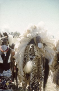 Regalia at the Nabilatuk County Show. Portrait of a Pian chief dancer, dressed in full ceremonial
