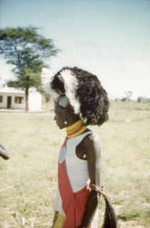 Karamojong dancer with headdress. Profile portrait of a Karamojong dancer at the Nabilatuk County