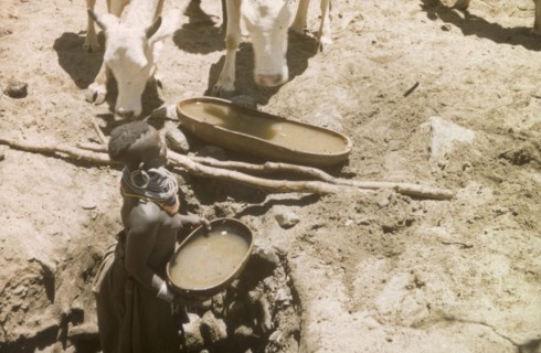 Waterhole in Mbaru. A young Suk (Pokot) woman lifts a large gourd full of water from a waterhole to