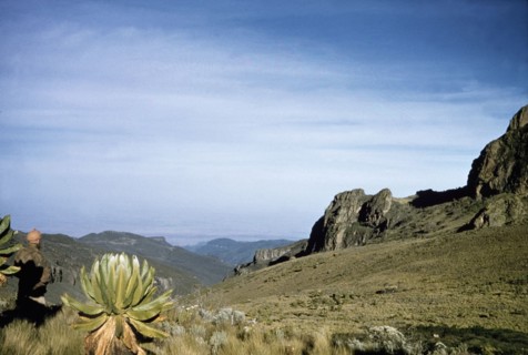 Looking east from Mount Elgon. View looking east from the crater of Mount Elgon. East Uganda, 26