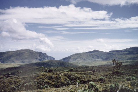 Inside the crater of Mount Elgon. View from inside the crater of Mount Elgon. East Uganda, 26