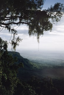 Descent from Mount Elgon. View south west from the lower slopes of Mount Elgon. An original caption