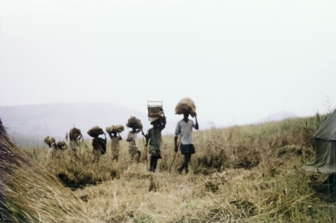 Porters arrive in camp'. A line of porters arrives with supplies at a forest boundary survey camp