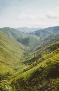 Rwenzori foothills'. A green valley in the Rwenzori (Ruwenzori) foothills. West Uganda, 1957., West