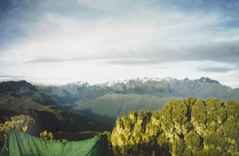 Snow-capped peaks of Rwenzori . View from a forestry survey camp of snow-capped peaks in the