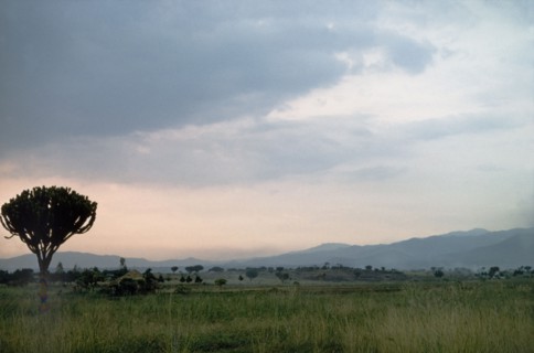 Sunset over Busongora . The sun sets over Busongora in the kingdom of Toro. Busongoro, West Uganda,