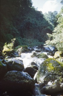 Crossing the Mobuku River. Kenya District Officer, George Webb, prepares to cross the Mobuku River