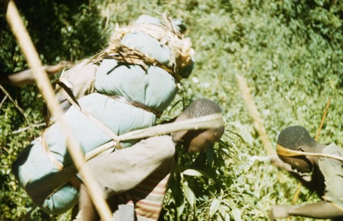 Bakonjo porters . Two Bakonjo porters carry equipment belonging to a British expedition trek into