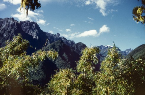 Portal Peaks from Nyamileju . View of the Portal Peaks from Nyamileju hut in the Rwenzori
