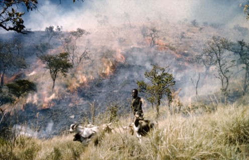 Goat boy and grass fire'. A young man herds goats in the Karasuk hills on the Kenya-Uganda border.