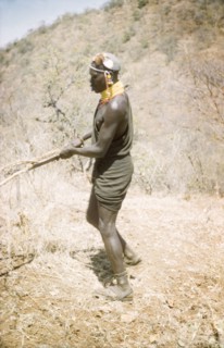 Lotuke clears the bush'. A Suk porter called Lotuke clears thorn scrub for a British forestry team