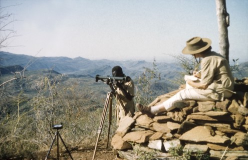 Elisabeth Lang Brown records survey data. Elisabeth, the wife of District Forest Officer James Lang