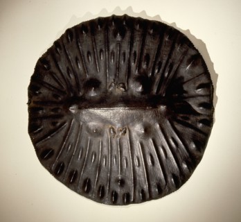 Shield made from tooled and moulded hippopotamus hide