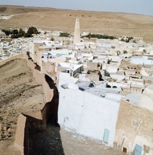 One of the oases of the Mzab valley