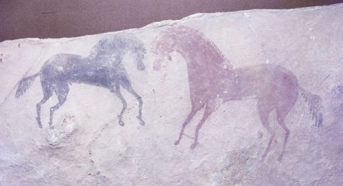 A rock painting of Berber horses bred from those brought to Egypt by Asians during the 2nd millenium BC