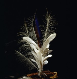 Headdress made of mostly white feathers from white birds of the Amazon