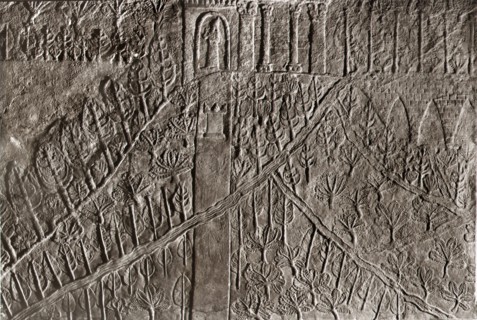 A stone relief from the palace of Ashurbanipal at Ninevah