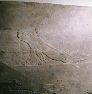 Stone relief from the palace of Ashurbanipal