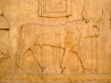 Hieroglyph of a sacred bull from a temple inscription