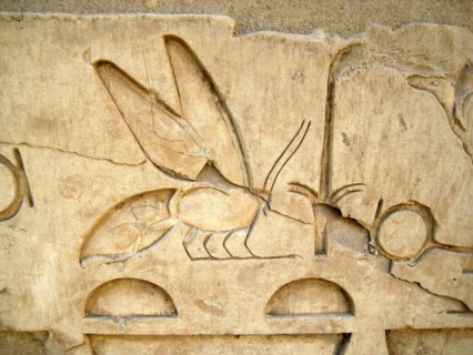 Hieroglyph of a bee from an inscription