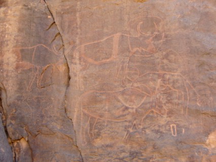 At the beginning of the Holocene the hunter gatherers of the Sahara experienced very different enviromental conditions
