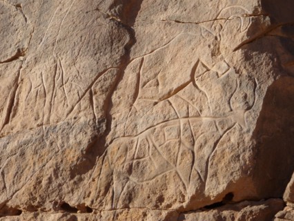 At the beginning of the Holocene the hunter gatherers of the Sahara experienced very different enviromental conditions